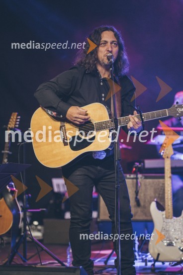 Koncert Andrej Šifrer, 40 let norosti