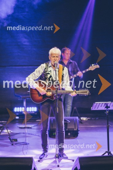 Koncert Andrej Šifrer, 40 let norosti