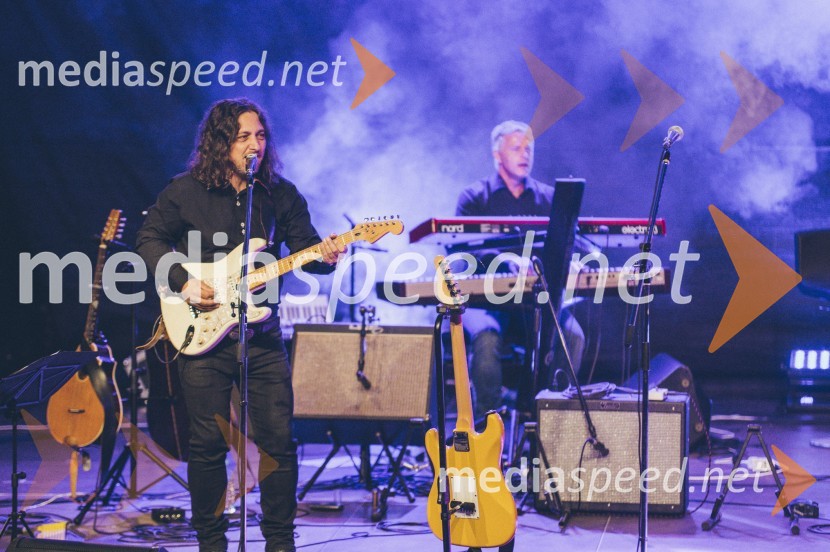 Koncert Andrej Šifrer, 40 let norosti