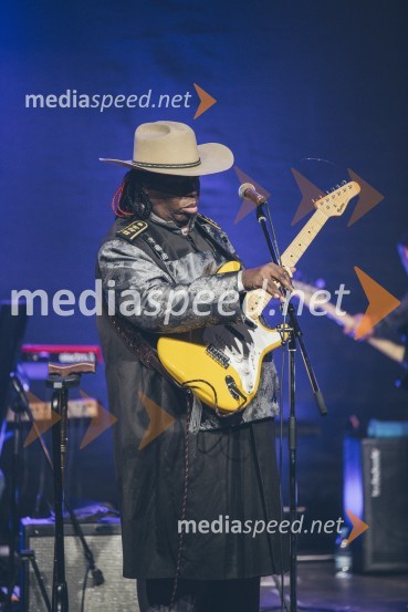 Koncert Andrej Šifrer, 40 let norosti