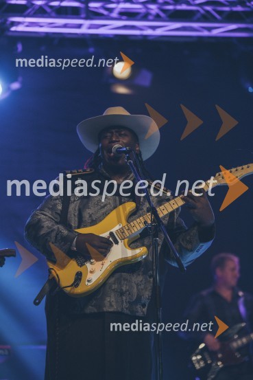Koncert Andrej Šifrer, 40 let norosti