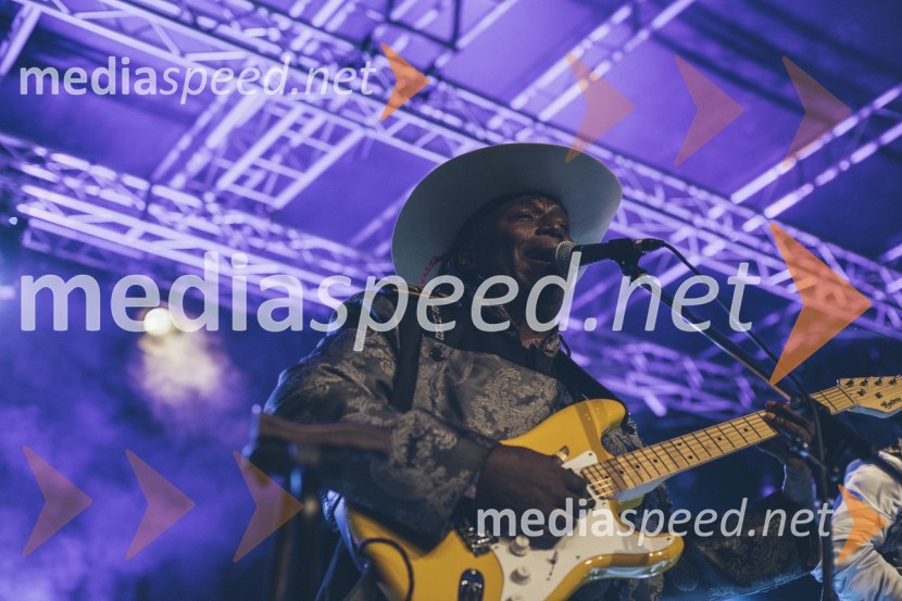 Koncert Andrej Šifrer, 40 let norosti