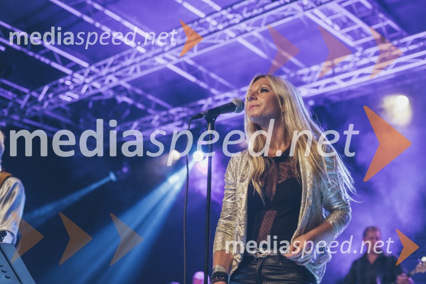 Koncert Andrej Šifrer, 40 let norosti