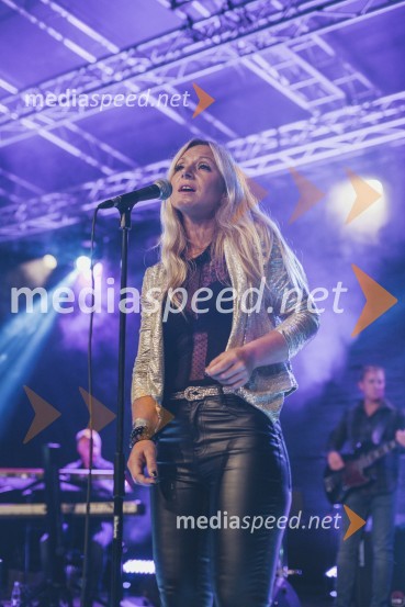 Koncert Andrej Šifrer, 40 let norosti
