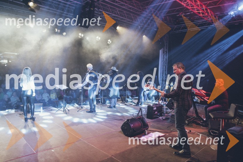 Koncert Andrej Šifrer, 40 let norosti