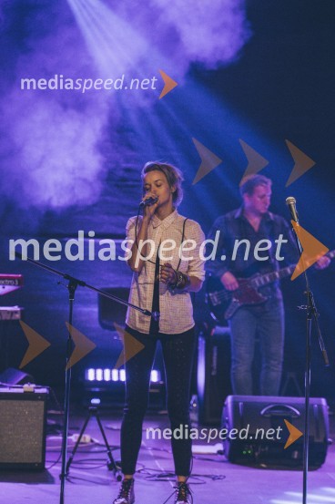 Koncert Andrej Šifrer, 40 let norosti