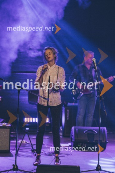 Koncert Andrej Šifrer, 40 let norosti