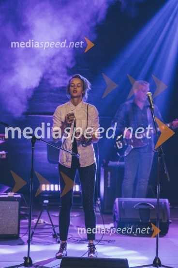 Koncert Andrej Šifrer, 40 let norosti