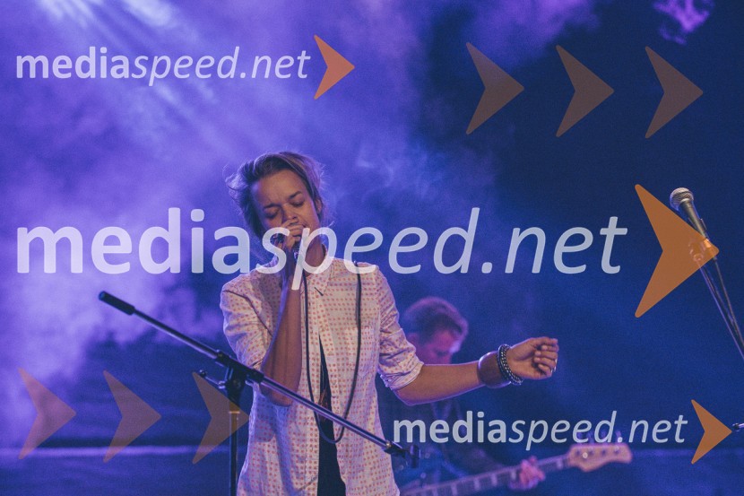 Koncert Andrej Šifrer, 40 let norosti