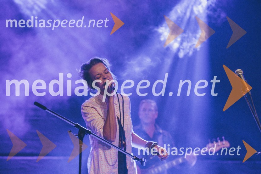 Koncert Andrej Šifrer, 40 let norosti