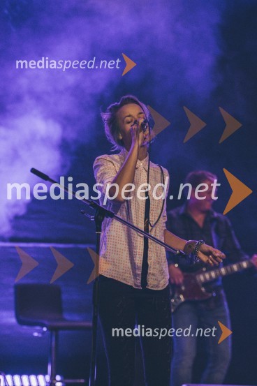 Koncert Andrej Šifrer, 40 let norosti