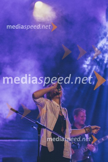Koncert Andrej Šifrer, 40 let norosti