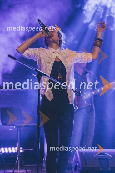 Koncert Andrej Šifrer, 40 let norosti