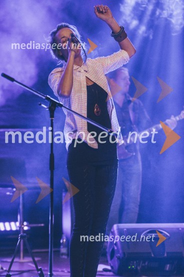 Koncert Andrej Šifrer, 40 let norosti