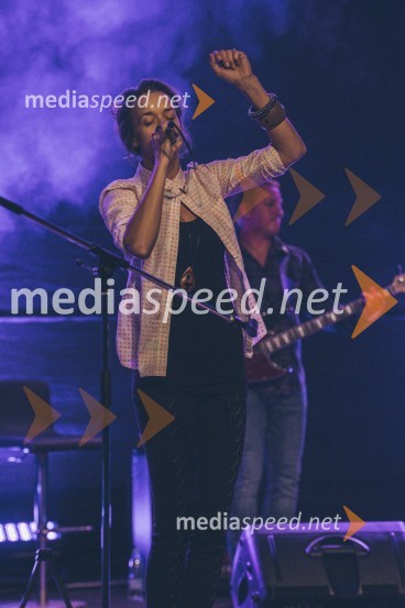 Koncert Andrej Šifrer, 40 let norosti