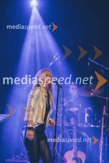 Koncert Andrej Šifrer, 40 let norosti