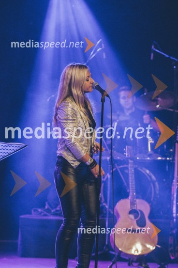 Koncert Andrej Šifrer, 40 let norosti