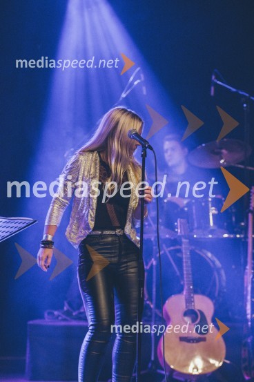 Koncert Andrej Šifrer, 40 let norosti