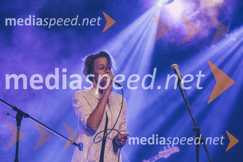 Koncert Andrej Šifrer, 40 let norosti