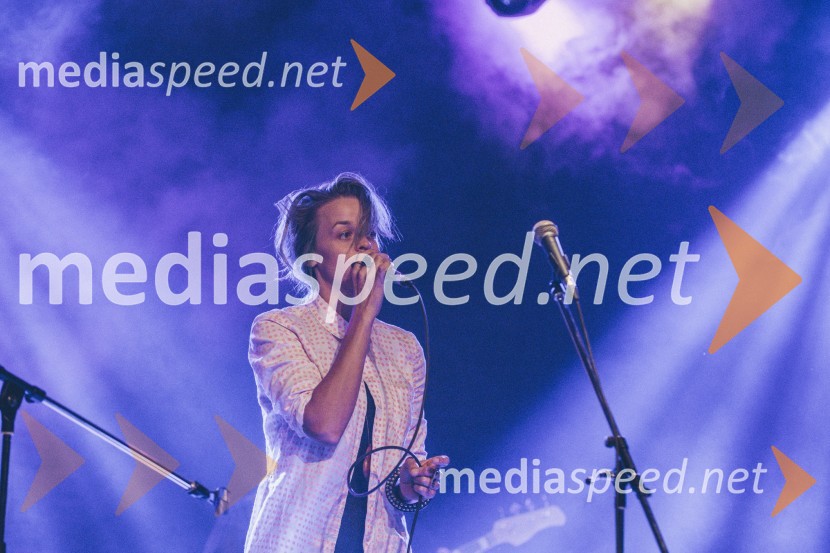 Koncert Andrej Šifrer, 40 let norosti