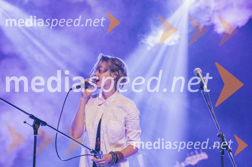 Koncert Andrej Šifrer, 40 let norosti