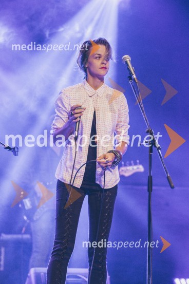 Koncert Andrej Šifrer, 40 let norosti