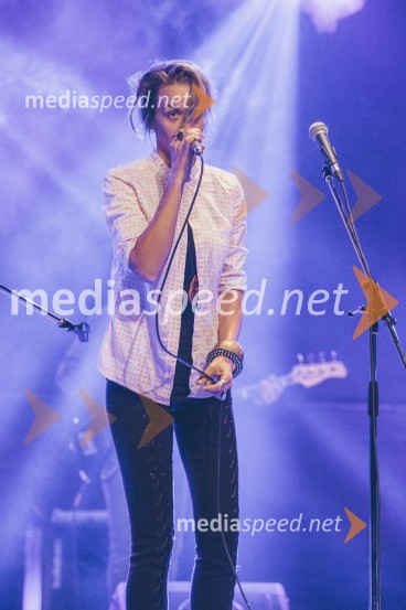 Koncert Andrej Šifrer, 40 let norosti