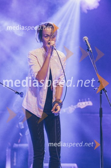 Koncert Andrej Šifrer, 40 let norosti