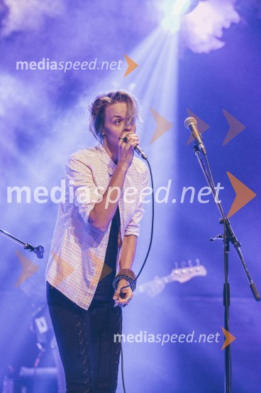 Koncert Andrej Šifrer, 40 let norosti