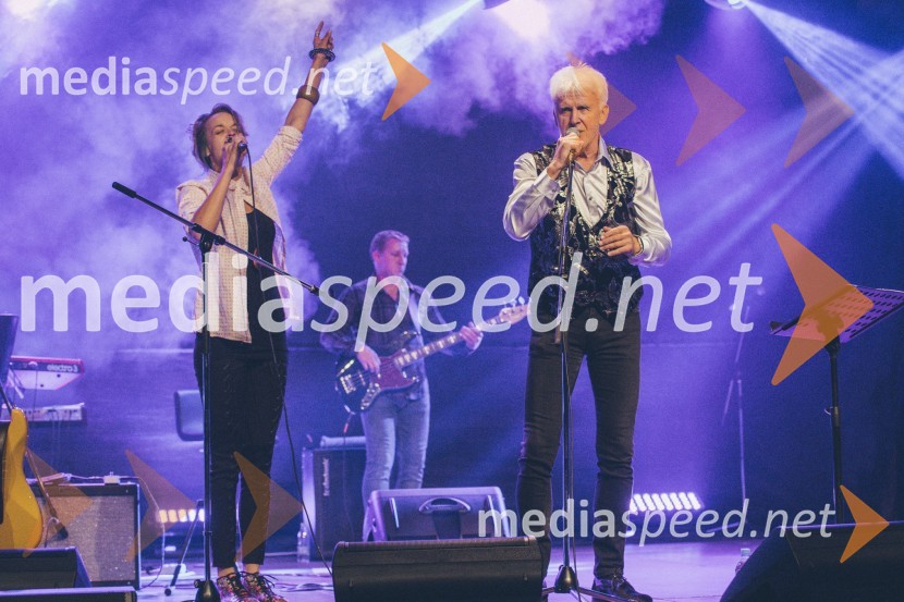 Koncert Andrej Šifrer, 40 let norosti