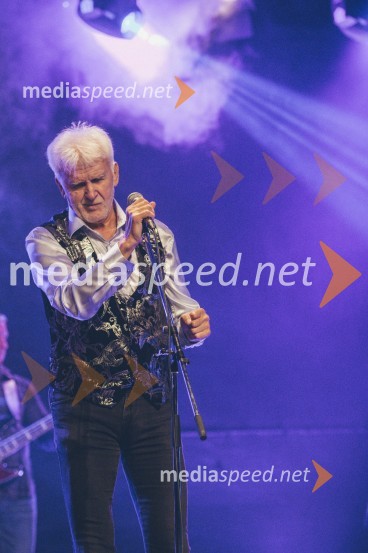 Koncert Andrej Šifrer, 40 let norosti