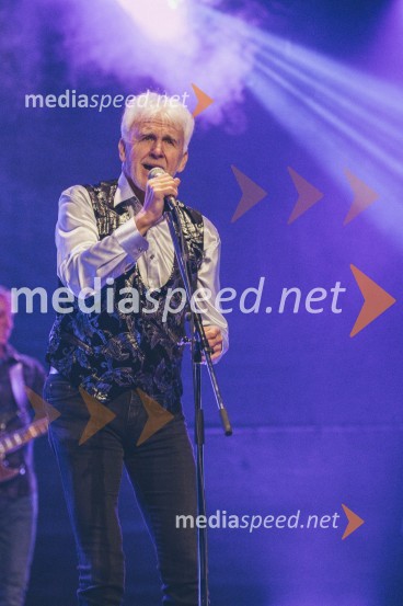 Koncert Andrej Šifrer, 40 let norosti