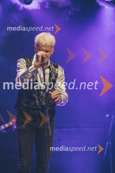 Koncert Andrej Šifrer, 40 let norosti
