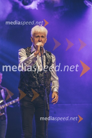 Koncert Andrej Šifrer, 40 let norosti