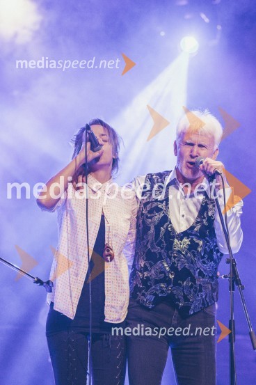 Koncert Andrej Šifrer, 40 let norosti