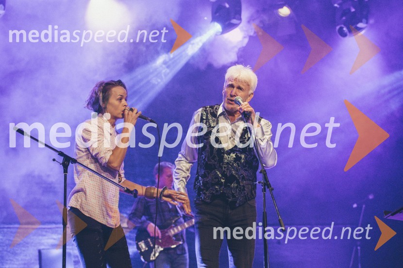 Koncert Andrej Šifrer, 40 let norosti