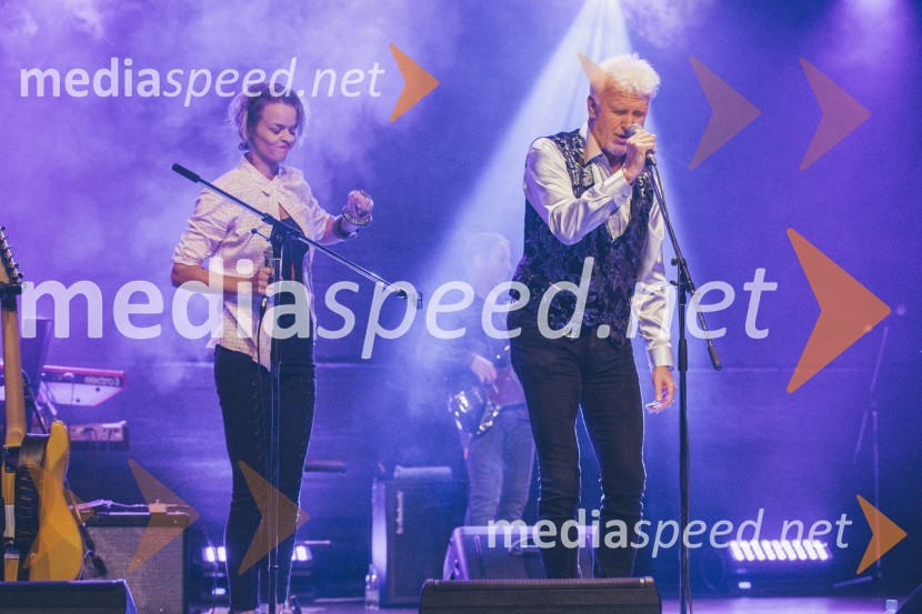 Koncert Andrej Šifrer, 40 let norosti