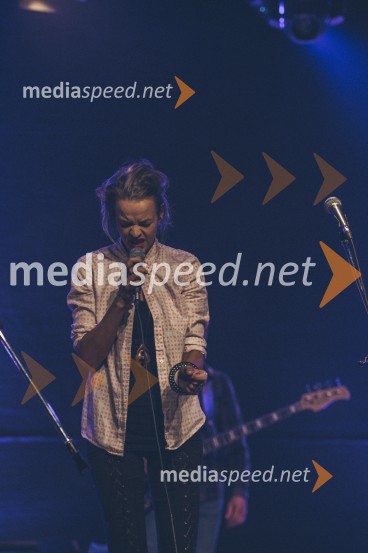 Koncert Andrej Šifrer, 40 let norosti