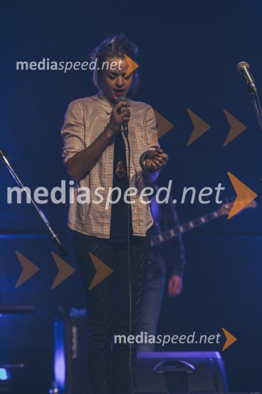 Koncert Andrej Šifrer, 40 let norosti