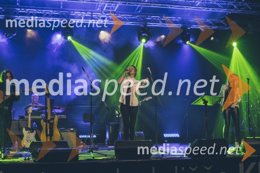 Koncert Andrej Šifrer, 40 let norosti