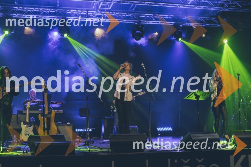 Koncert Andrej Šifrer, 40 let norosti
