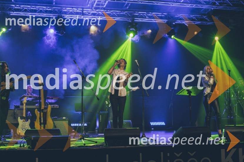 Koncert Andrej Šifrer, 40 let norosti