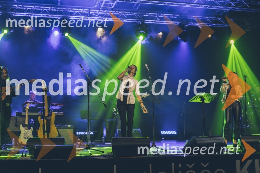 Koncert Andrej Šifrer, 40 let norosti