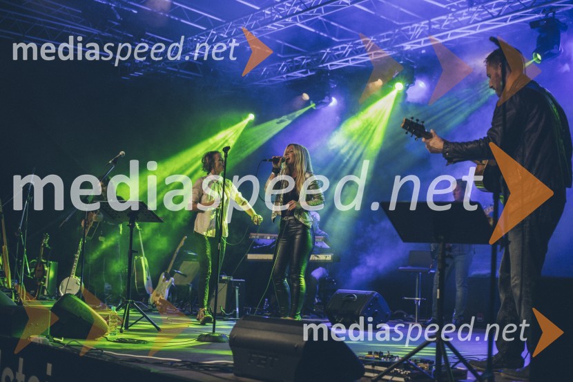 Koncert Andrej Šifrer, 40 let norosti