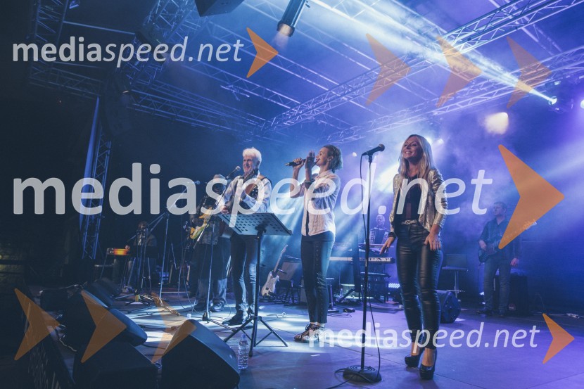Koncert Andrej Šifrer, 40 let norosti