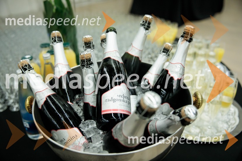 Proslava ob 100-letnici Fakultete za gradbeništvo in geodezijo