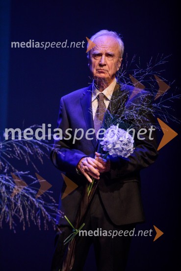 prof. dr. Peter Fajfar, profesor na Univerzi v Ljubljani in član Slovenske inženirske akademijeProslava ob 100-letnici Fakultete za gradbeništvo in geodezijo