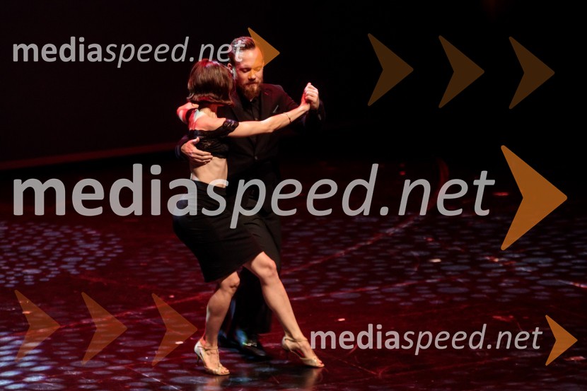  Barbara  Kanc, plesalka;  ... Proslava ob 100-letnici Fakultete za gradbeništvo in geodezijo