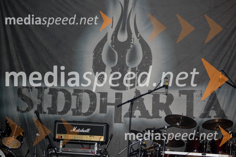Grand rock Sevnica 2008