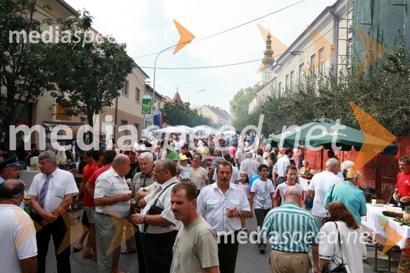 Glava ulica LendavaBogračfest 2008